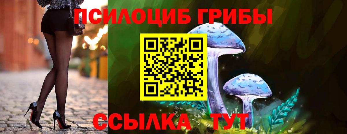 Галлюциногенные грибы ЛСД  где продают   Алексин  Вход с VPN 