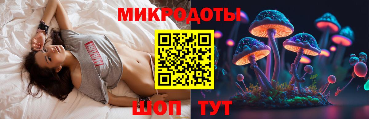 Галлюциногенные грибы Cubensis Алексин